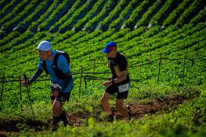 BIB: 
                            <button type="button" onclick="openModal(19160819)" class="btn btn-primary btn-sm float-right btn-popup" data-toggle="modal" data-target=".modal-high-quality">
                        <i class="fas fa-shopping-cart"></i> Add to Cart
                    </button>
                                            <button type="button" onclick="isThisMe(19160819, true)" class="btn btn-success btn-sm float-right btn-popup btn-isme hidden" data-toggle="tooltip" data-placement="bottom" title="นี่คือรูปของคุณใช่ไหม คลิกที่นี่เพื่อเอาเข้าอัลบั้ม">
                        <i class="fas fa-plus"></i> Add to album
                    </button>
                    <button type="button" onclick="isThisMe(19160819, false)" class="btn btn-warning btn-sm float-right btn-popup btn-isnotme hidden">
                        <i class="fas fa-ban"></i> Remove from album
                    </button>